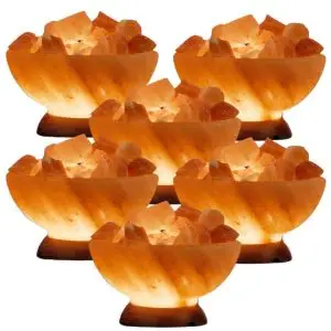 Abundance Bowl with Salt Chunks Wholesale
