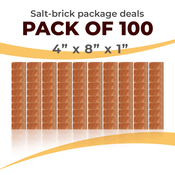 100 Salt Wall Bricks 4x8x1