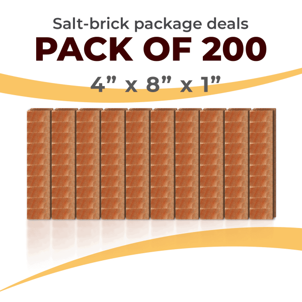 200 Salt Wall Bricks 4x8x1