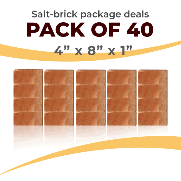 40 Salt Wall Bricks 4x8x1