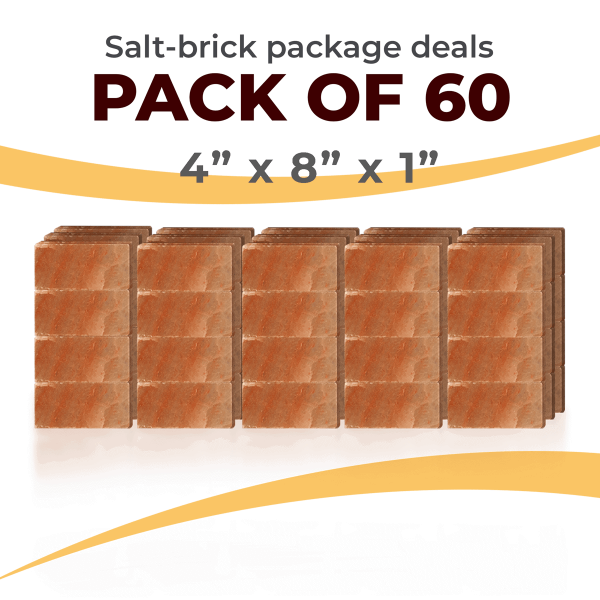 60 Salt Wall Bricks 4x8x1