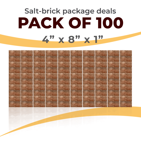100 Salt Wall Bricks 4x8x1 Rough Face
