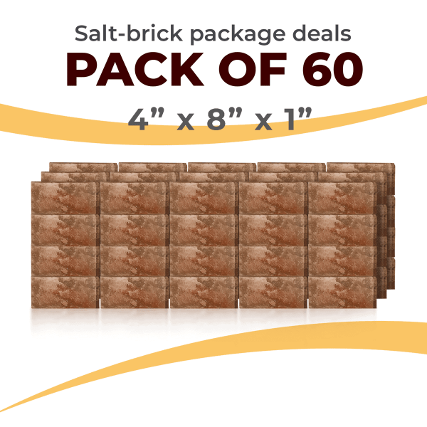 60 Salt Wall Bricks 4x8x1 Rough Face