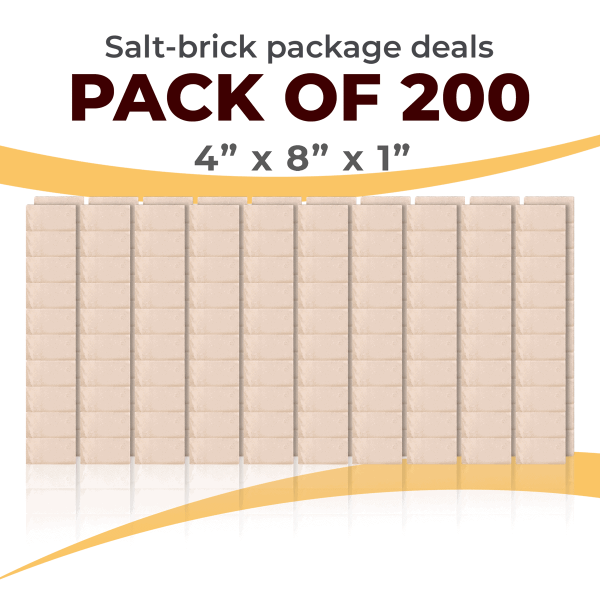 200 Salt Wall Bricks 4x8x1 White