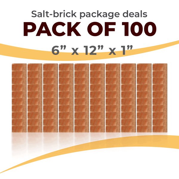 100 Salt Wall Bricks 6x12x1