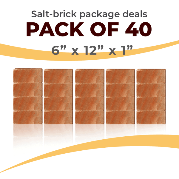 40 Salt Wall Bricks 6x12x1