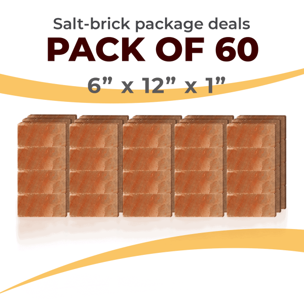 60 Salt Wall Bricks 6x12x1