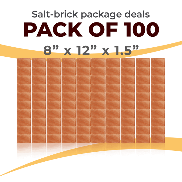 100 Salt Wall Bricks 8x12x1.5
