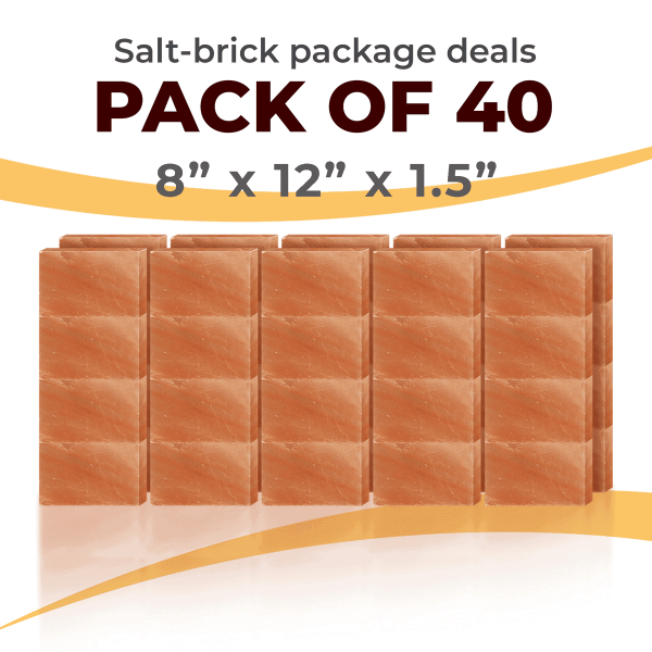 40 Salt Wall Bricks 8x12x1.5