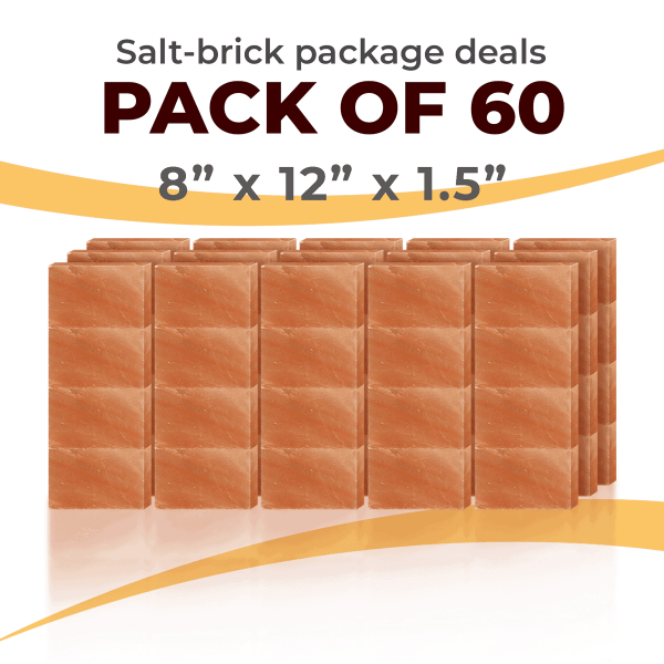 60 Salt Wall Bricks 8x12x1.5