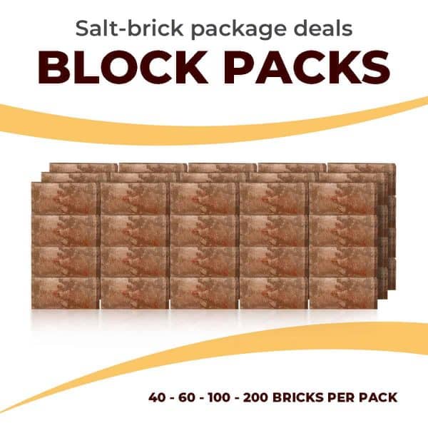 Himalayan Pink Salt Brick Wall Kits (Bricks Only)