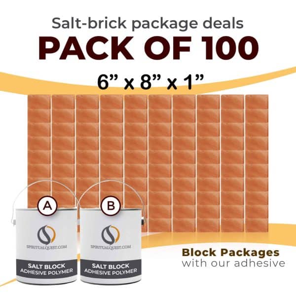 100 6x8x1 Bricks with Adhesive