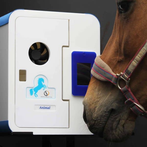 Horse Halo Generator  –  Equine Halo (Salt) Therapy