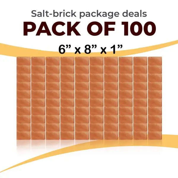 100 6x8x1 Bricks