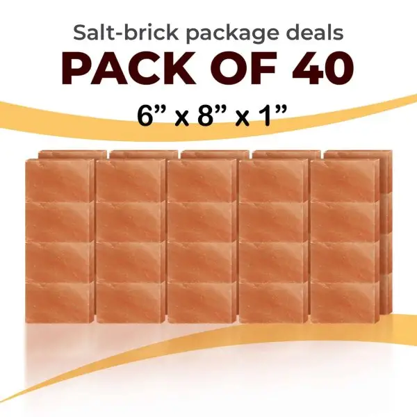 40 6x8x1 Bricks