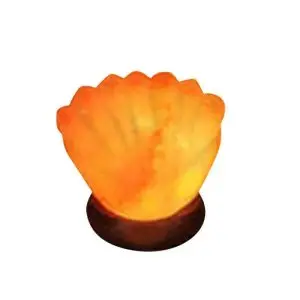 Sea Shell Himalayan Salt Light - Hand Carved