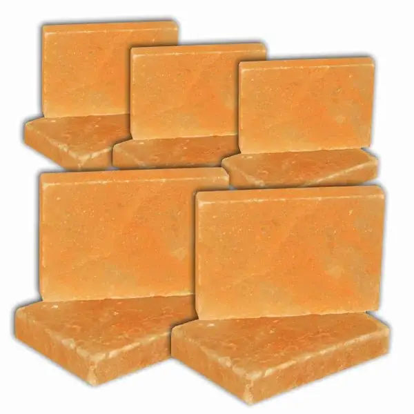 4x6x1 brick QTY 10