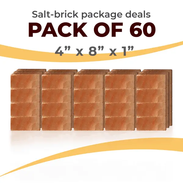 60 Salt Wall Bricks 4x8x1