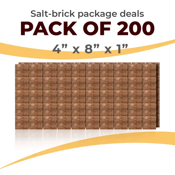 200 Salt Wall Bricks 4x8x1 Rough Face