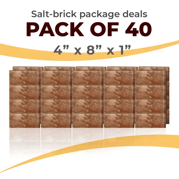 40 Salt Wall Bricks 4x8x1 Rough Face