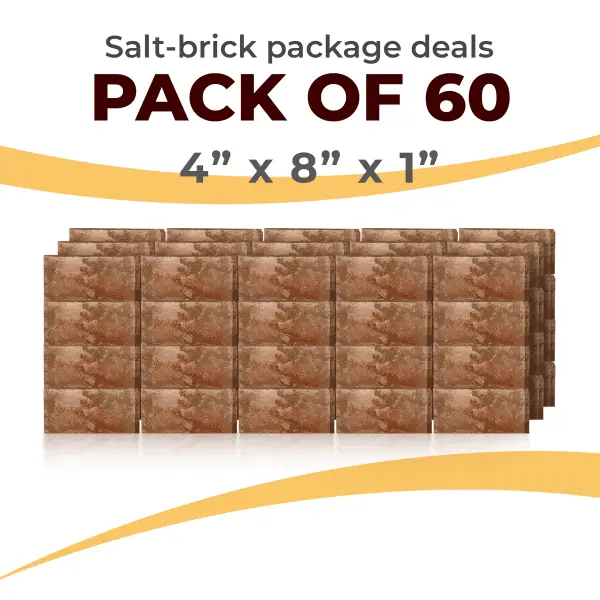 60 Salt Wall Bricks 4x8x1 Rough Face