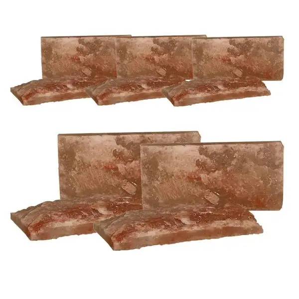4x8x1 Rough Faced Salt Brick Quantity 10
