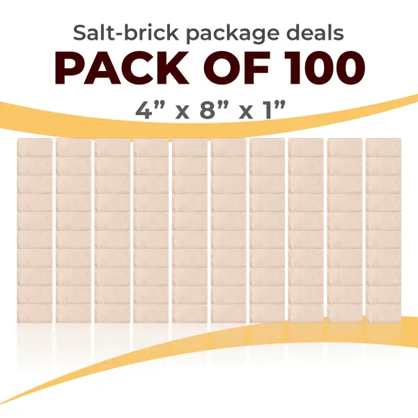 100 Salt Wall Bricks 4x8x1 White