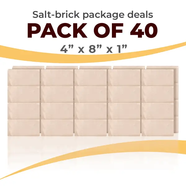 40 Salt Wall Bricks 4x8x1 White