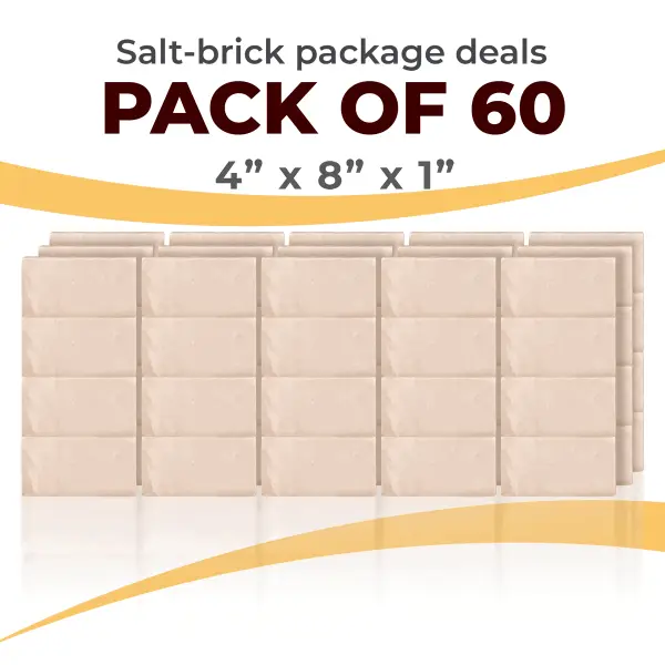 60 Salt Wall Bricks 4x8x1 White