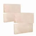 4x8x1 White Salt Bricks Quantity 4