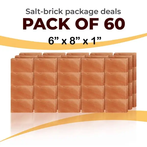 60 6x8x1 Bricks