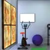 Himalayan Salt Wall Workout Room