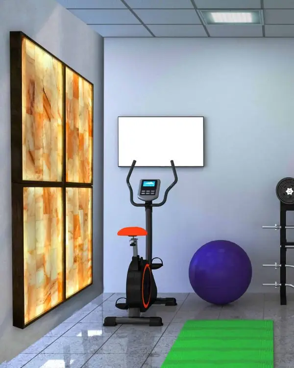 Himalayan Salt Wall Workout Room