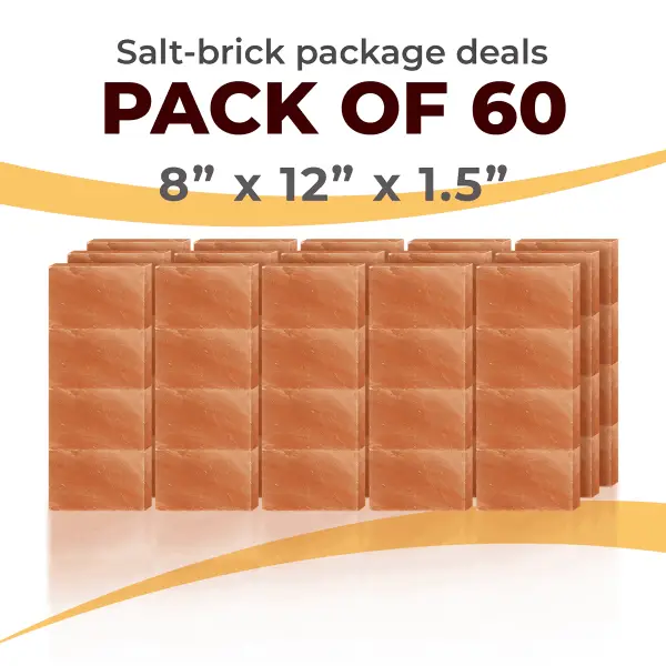 60 Salt Wall Bricks 8x12x1.5