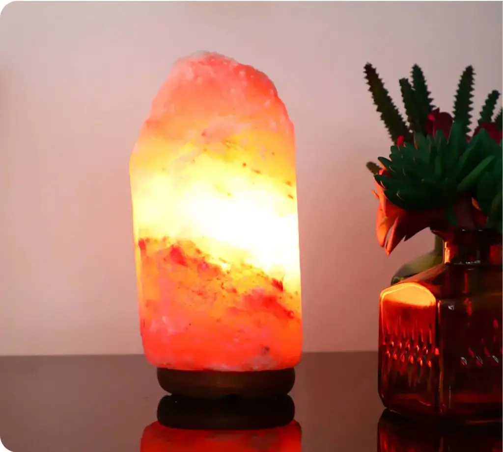 Himalayan salt lamp next to a plant