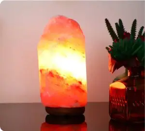 Himalayan salt lamp next to a plant