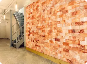 Himalayan salt wall with salt bricks