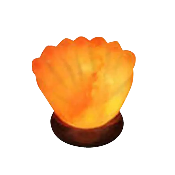 seal shell salt lamps real himalayan salt