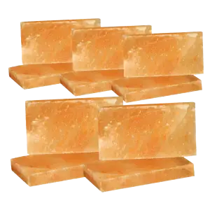 4x8x1 Natural Salt Brick Quantity 10
