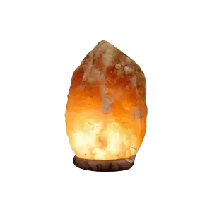 Aries Himalayan Salt Lamp