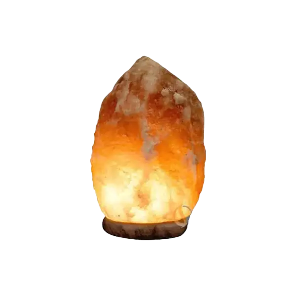 Aries Himalayan Salt Lamp