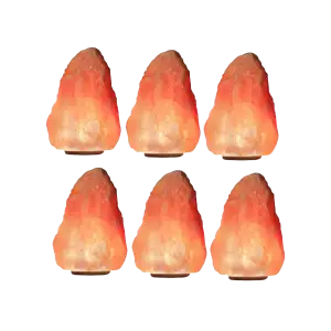 Set of 6 Gigantica Salt Lamps