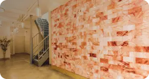 Large custom salt wall