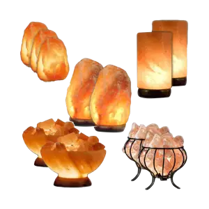 Wholesale Premier Starter Kit