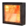 Himalayan Salt Wall LED Panel