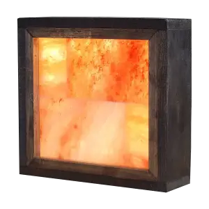 Himalayan Salt Wall LED Panel